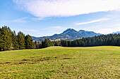 Forest, meadow and mountain panorama with Breitenstein and Schweinsberg from the Leitzachtaler Bergblicke hiking trail near Fischbachau in Upper Bavaria, Germany