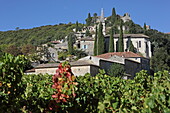 Häuser des Ortes La-Roque-sur-Cèze am Hang, Gard, Okzitanien, Frankreich