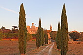 Baumallee zum Schloss von Pouzilhac, Gard, Okzitanien, Frankreich