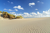 Dune on Borkum Island, Lower Saxony, Germany