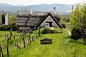 Traditionelles Reetdachhaus in den Weinbergen beim Dorf Aszofö am Plattensee, Landkreis Veszprém, Ungarn