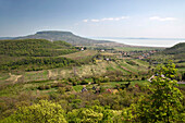 View to Badacsony mountain and Lake Balaton, Veszprém county, Hungary
