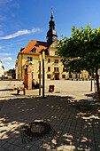 Historisches Rathaus der Stadt Borna am Bornaer Markt, Landkreis Leipzig, Sachsen, Deutschland