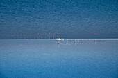 Double exposure of a windfarm on the sea in Copenhagen, Denmark.
