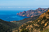 Felsenküste und rote Felsen, Bucht von Girolata, Halbinsel La Scandola, Département Haute-Corse, Westküste, Korsika, Mittelmeer, Frankreich