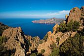 Felsenküste und rote Felsen, Bucht von Girolata, Girolata, La Scandola, Département Haute-Corse, Westküste, Korsika, Mittelmeer, Frankreich
