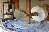 Olive mill in Saint-Michel-l&#39;Observatoire, Alpes-de-Haute-Provence, Provence-Alpes-Côte d&#39;Azur, France