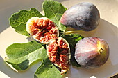 Black fig from Caromb, Vaucluse, Provence-Alpes-Côte d&#39;Azur, France
