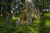 Gravestones at the old Jewish cemetery, Sinntal, Altengronau, Spessart-Mainland, Hesse, Germany, Europe