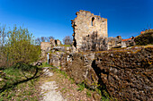 Ruins of Nordburg Lichtenstein in Lichtenstein, Hassberge Nature Park, Hassberge district, Lower Franconia, Franconia, Bavaria, Germany