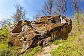 Castle ruins of the Felsenburg Rothenhahn in the Hassberge Nature Park, above the town of Eyrichshof, Ebern, Hassberge district, Lower Franconia, Franconia, Bavaria, Germany