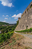 Festung Marienberg oberhalb der Stadt Würzburg, Unterfranken, Franken, Bayern, Deutschland