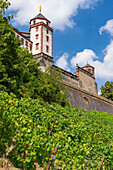 Marienberg Fortress above the city of Würzburg, Lower Franconia, Franconia, Bavaria, Germany