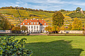 Main building of the Schloss Wackerbarth winery in autumn, Radebeul, Saxony, Germany