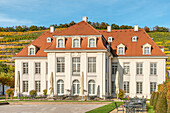 Main building of the Schloss Wackerbarth winery in autumn, Radebeul, Saxony, Germany