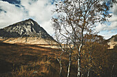 Buachaille Etive Mòr, Berge von Glen Coe. Landschaft im Herbst, Birken, Highlands, Schottland, Vereinigtes Königreich