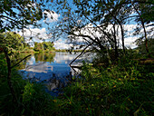 Hochreinsee bird sanctuary in the Mainaue nature reserve near Augsfeld, Hassberge district, Lower Franconia, Franconia, Bavaria, Germany