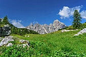 Mountain meadow with Castello di Moschesin, Belluneser Höhenweg, Dolomites, Veneto, Venetia, Italy
