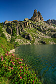 Lake Estany Gran Amitges and Agulles Amitges, Aigüestortes i Estany de Sant Maurici National Park, Pyrenees, Catalonia, Spain