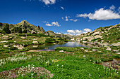 Wet meadows with lake, Valle Gerber, Aigüestortes i Estany de Sant Maurici National Park, Pyrenees, Catalonia, Spain