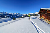 Woman on a ski tour ascending to False Riedel, False Riedel, Kitzbühel Alps, Tyrol, Austria