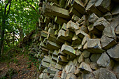 Basalt columns in the Gangolfsberg nature reserve in the core zone of the Rhön biosphere reserve, Bavarian Rhön, Rhön-Grabfeld district, Lower Franconia, Bavaria, Germany