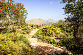 Hiking trail in the mountains of Pollenca, Mallorca, Spain