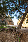 Wanderung in der Schlucht Torrent de Pareis zur Bucht Platja de Torrent de Pareis, Sa Calobra, Serra de Tramuntana, Nordküste, Mallorca, Spanien