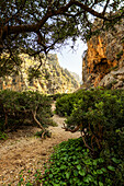 Wanderung in der Schlucht Torrent de Pareis, Sa Calobra, Serra de Tramuntana, Nordküste, Mallorca, Spanien