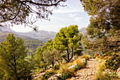 Ascent to the Santuari de la Mare de Déu del Puig, Mallorca, Spain