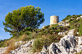 Albercutx Wachturm, Cap Formentor, Halbinsel Formentor, Nordküste, Mallorca, Spanien