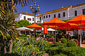 Ein Cafe am idyllischen Marktplatz, Bäume und Sonnenschirme im noblen Marbella in Andalusien, Spanien