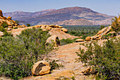 Landschaft mit Felsen und Felsformationen im savannenartigen Erongo-Gebirge in Namibia, Afrika