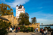 Kurfürstliche Burg, Eltville, Rhein, Rheingau, Hessen, Deutschland