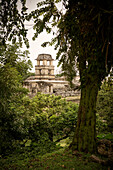 Blick auf Palast (El Palacio), archäologische Zone von Palenque, Maya Metropole, Chiapas, Mexiko, Lateinamerika, Nordamerika, Amerika