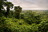 View from the ruins of the &quot;Grupo Norte&quot; to the surrounding jungle of the archaeological zone of Palenque, Mayan metropolis, Chiapas, Mexico, North America, Latin America, UNESCO World Heritage