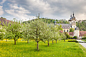 Obstgärten von Kloster Schöntal, Baden-Württemberg, Deutschland