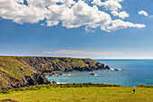 Küstenlandschaft Predannack Head am South West Coast Path, Mullion, Cornwall, England