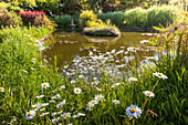 Garden pond at Longcross Gardens, Port Isaac, Cornwall, England