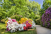 Frühsommer im Kurpark von Bad Homburg vor der Höhe, Taunus, Hessen, Deutschland