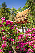 Siamesischer Tempel Thai-Sala im Kurpark von Bad Homburg vor der Höhe, Taunus, Hessen, Deutschland