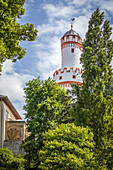 Castle Park of Bad Homburg vor der Höhe with the White Tower, Taunus, Hesse, Germany