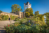 Kurfürstliche Burg Eltville, Rheingau, Hessen, Deutschland