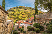 View from the old town of Heppenheim to the Starkenburg , Southern Hesse, Hesse, Germany