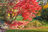 Neropark im Herbst, Wiesbaden, Hessen, Deutschland