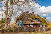 Historic thatched roof house in Wieck am Darss, Mecklenburg-West Pomerania, Northern Germany, Germany