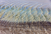 Wellen am Strand von Darß, Mecklenburg-Vorpommern, Norddeutschland, Deutschland