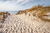 Weg zum Strand am Darßer Ort, Mecklenburg-Vorpommern, Norddeutschland, Deutschland