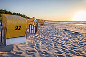 Yellow beach chairs in Zingst, Mecklenburg-West Pomerania, North Germany, Germany