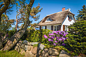 Idyllic thatched cottage in Ahrenshoop, Mecklenburg-West Pomerania, Northern Germany, Germany